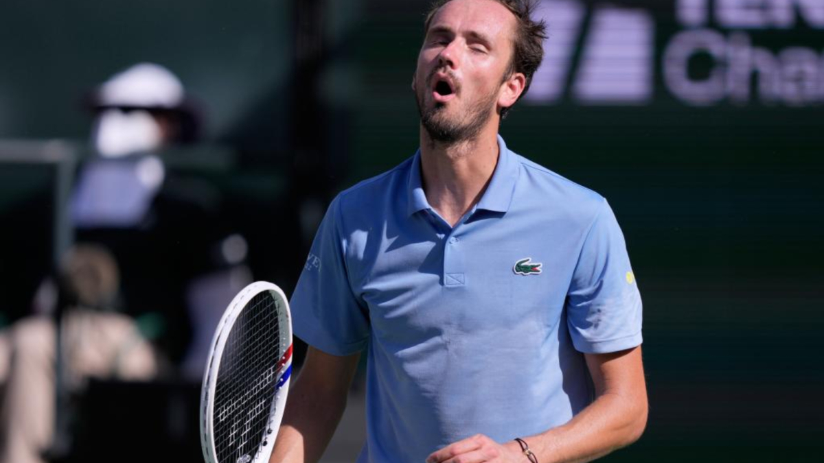 Medvedevljev S.O.S.: "Treba mi mala pomoć..."