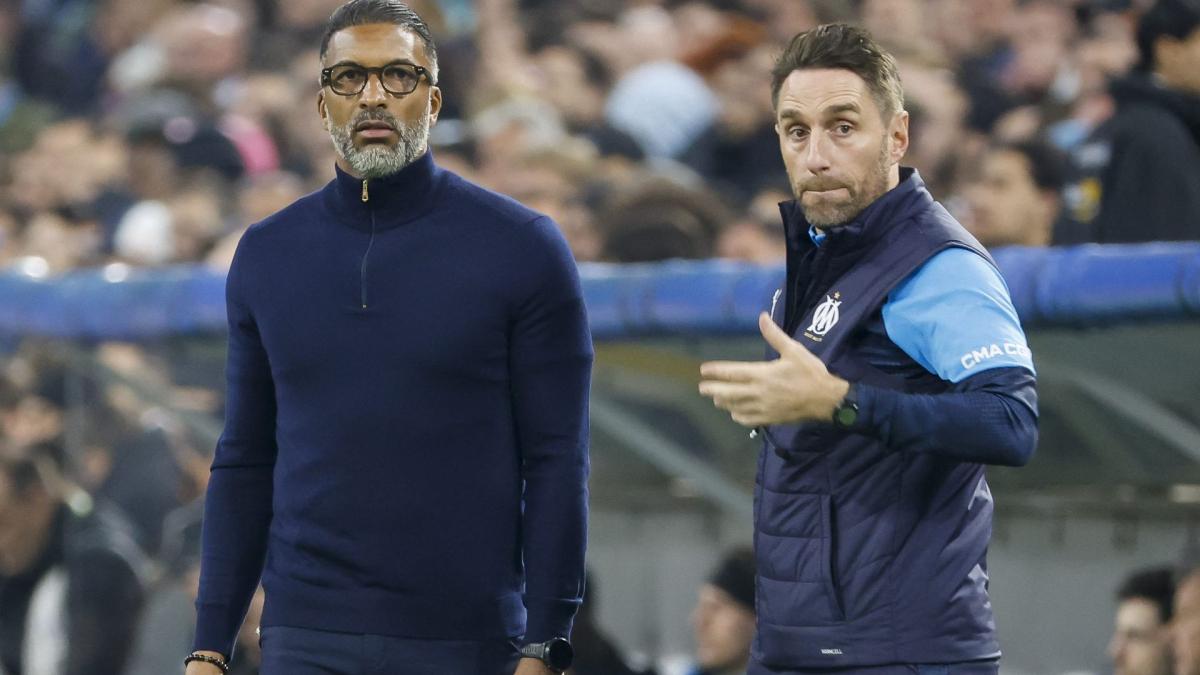 OM: Veliki apel Habiba Beeja za mir nakon oslobođenja u Tuluzu