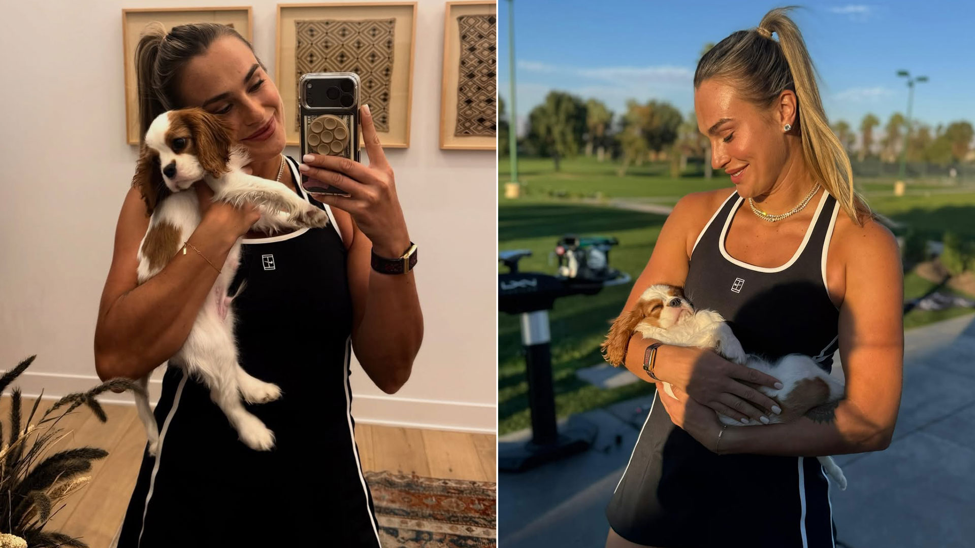 Upoznajte najnoviji dodatak pratnji Arine Sabalenke: njeno štene, Ash