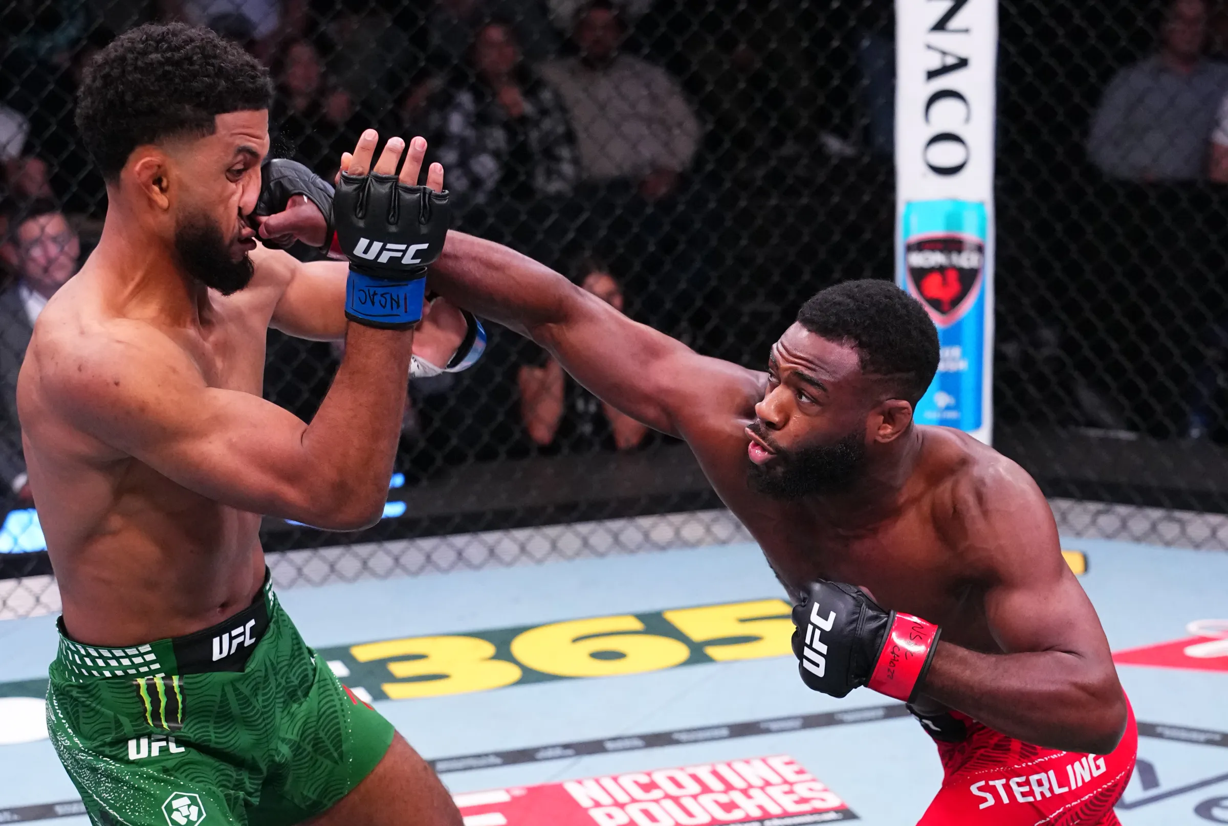 Aljamain Sterling Mauls Zalal, izdaje pozive za sledeće protivnike od 145 funti