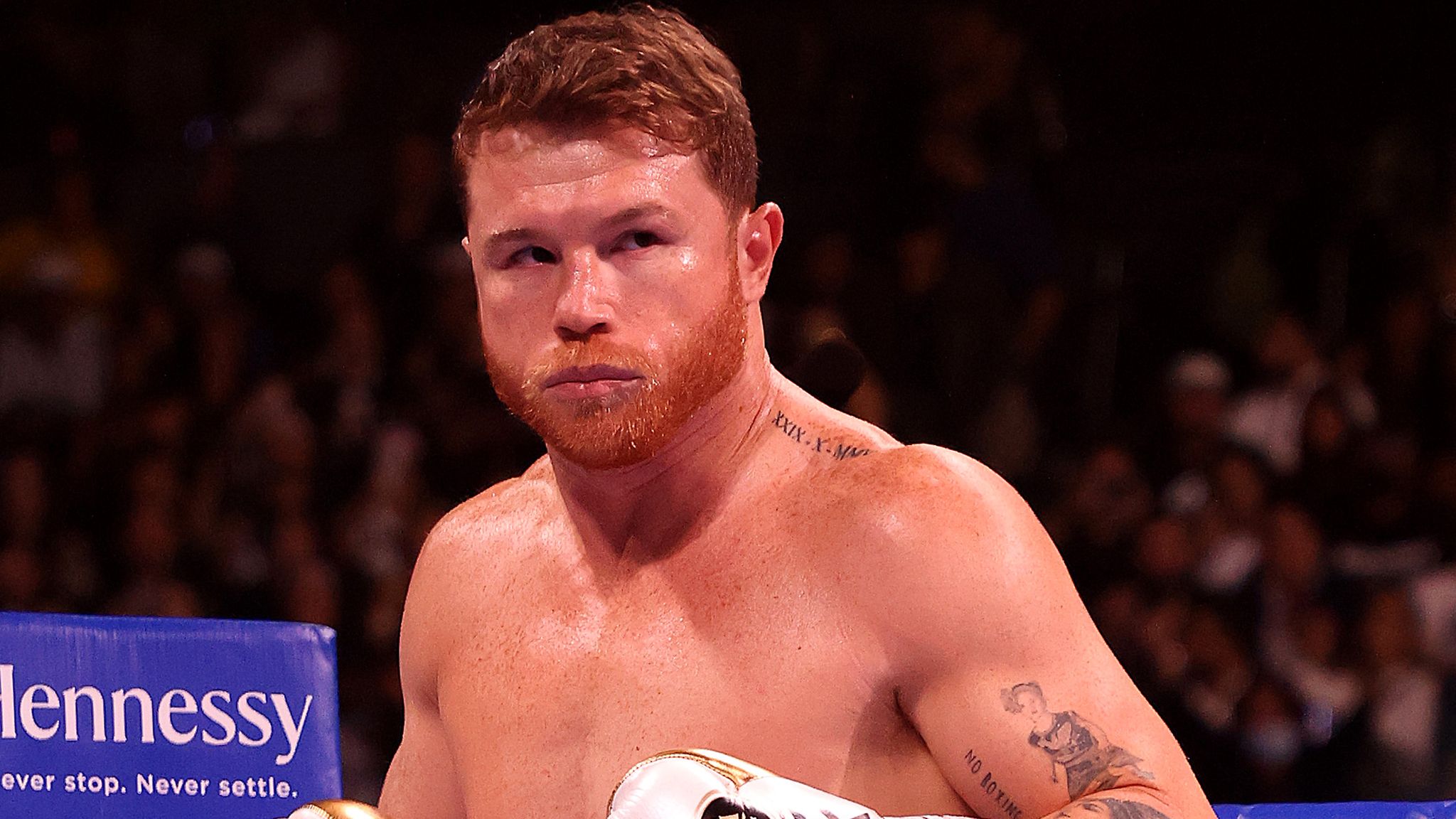 Canelo počinje svoj trening kamp
