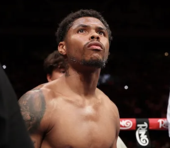 Stevenson odgovara na najnovije glasine o borbi