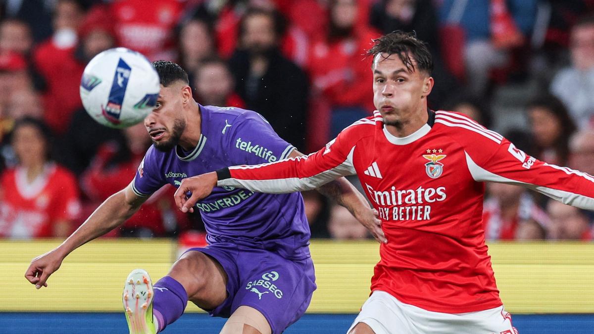 Newcastle s’offre le joli coup Amar Dedic