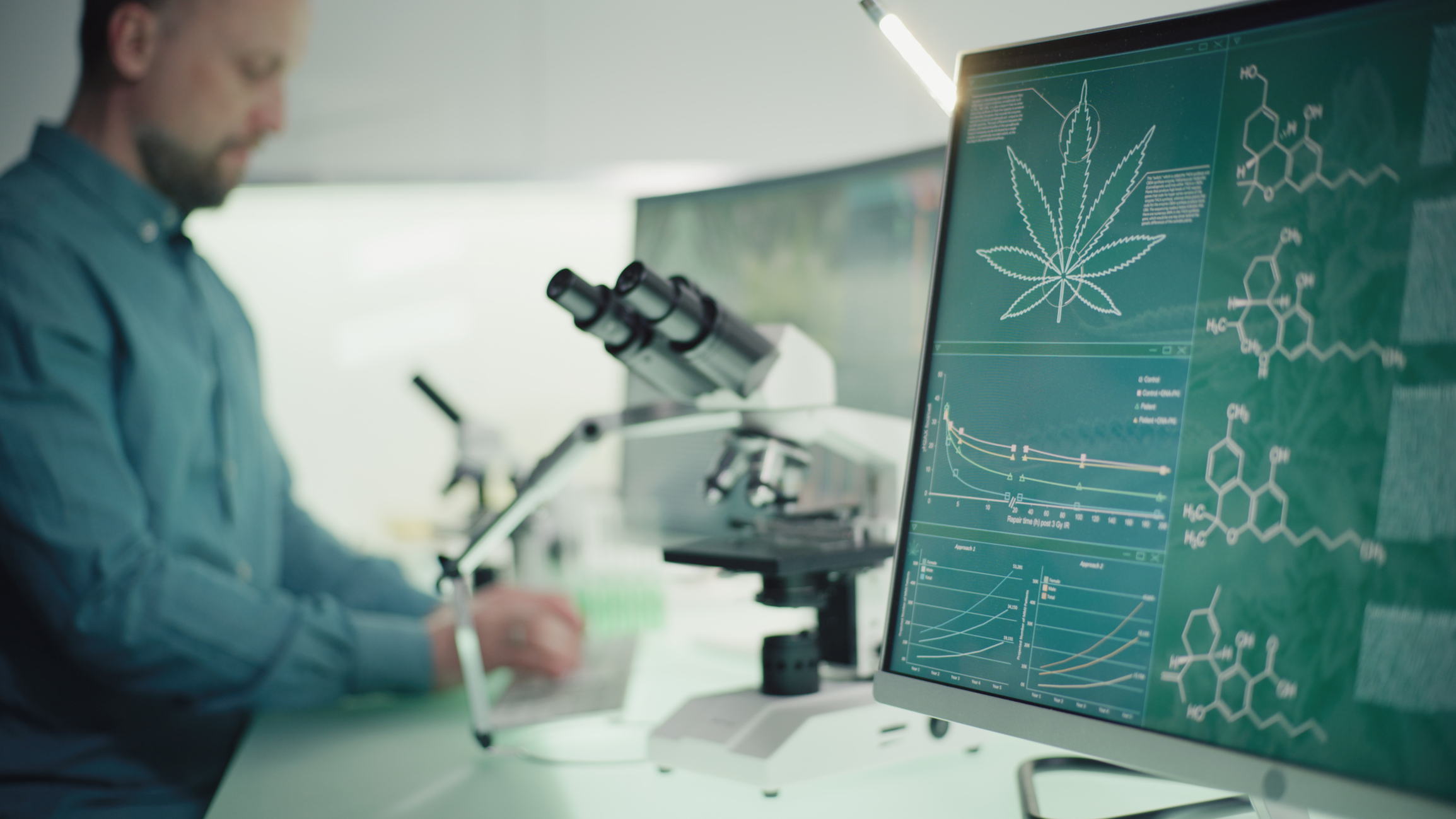 Un científico analiza los efectos de la marihuana.